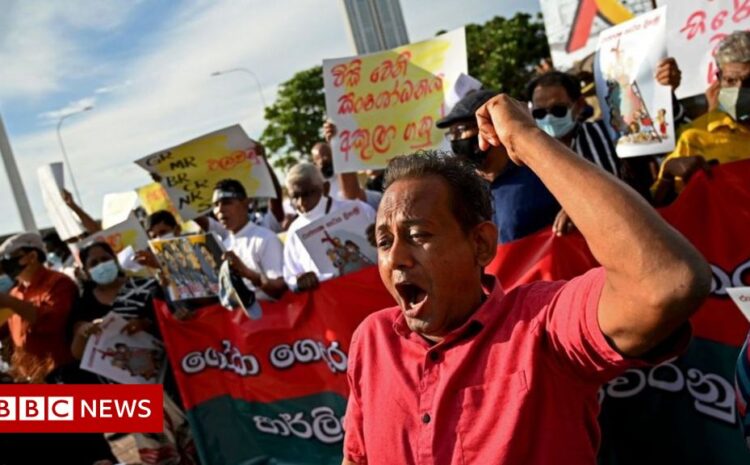  Why are Sri Lankans protesting in the streets?