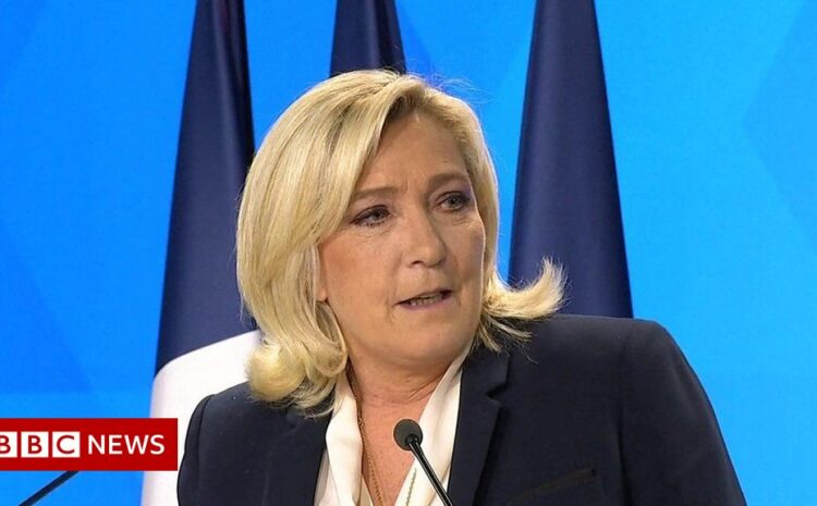 France election: Le Pen concedes defeat in presidential vote