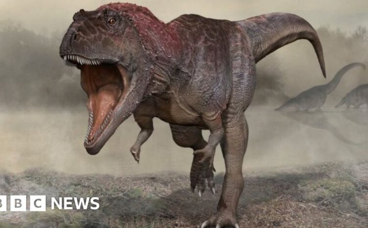  Dinosaur finding hints at why T-rex had small arms