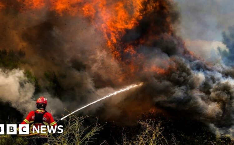  Europe heatwave: Deadly wildfires spread in Mediterranean