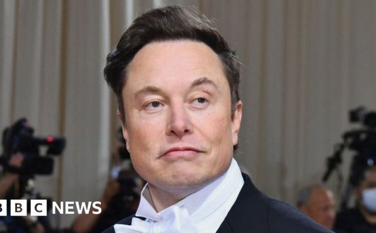  Elon Musk denies affair with Google co-founder Sergey Brin's wife