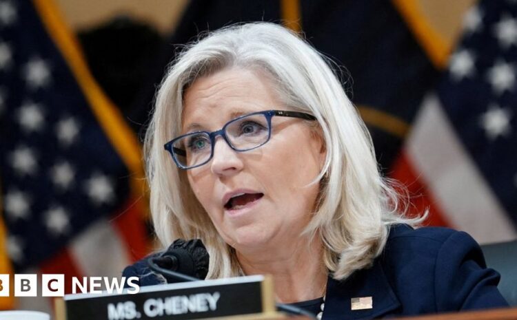  Liz Cheney: Republican Trump critic braces for election defeat