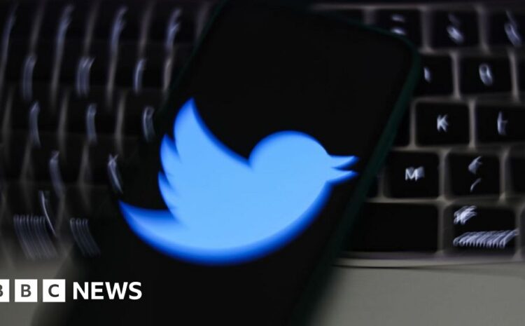  Twitter whistleblower questions firm's bot count