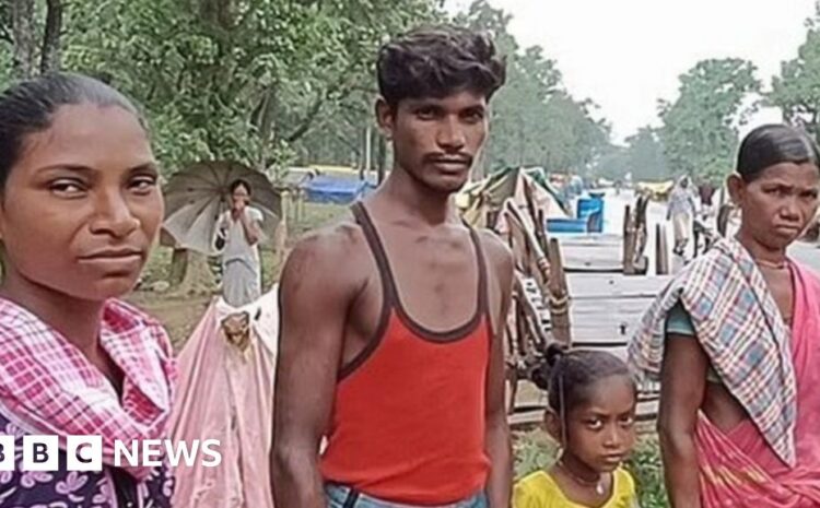  Gadchiroli: The Indian tribal families living on a highway with animals