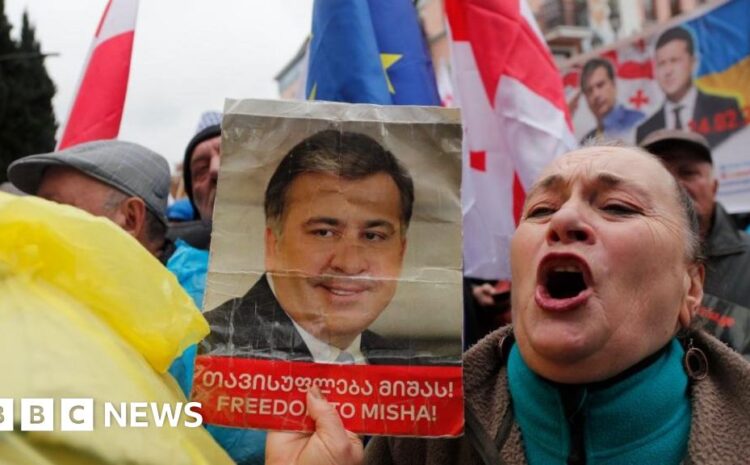  Saakashvili: Georgia's ailing ex-leader starts new hunger strike
