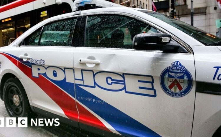  Toronto: Eight teenage girls charged with deadly stabbing