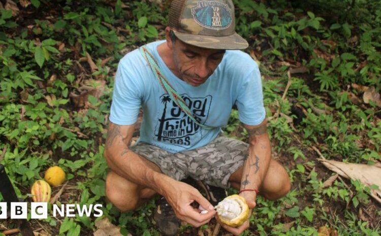  Surfer creates island eco-haven with ancient knowhow