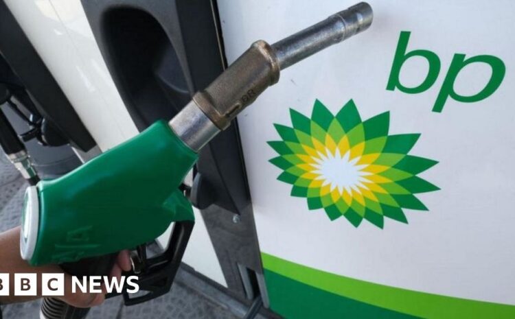  Energy giant BP sees record profits of $28bn