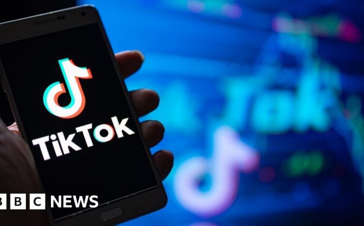  TikTok launches Project Clover to allay China security fears