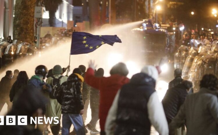  Thousands protest at Georgian 'foreign agent' bill