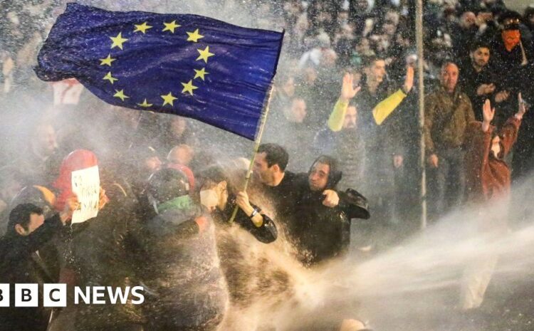  Georgians protest on streets and in parliament over “Russia-style” bill