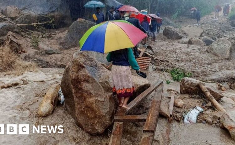  Tropical Storm Freddy: Malawi troops spend night up tree to escape storm