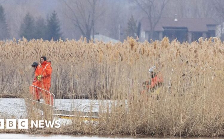  Eight bodies found in St Lawrence River near US-Canada border