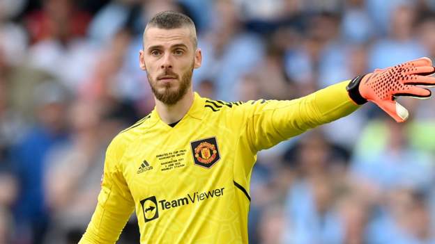  David de Gea: Manchester United goalkeeper set to become a free agent