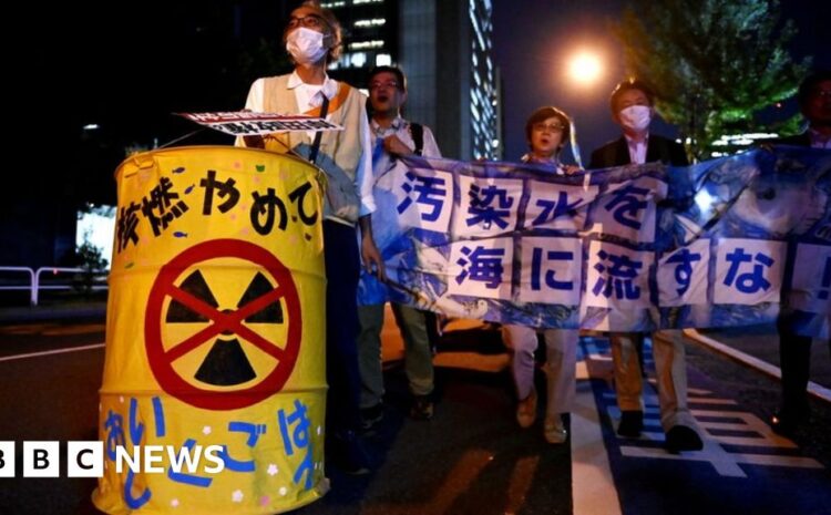  Fukushima nuclear disaster: UN watchdog approves plan for water release