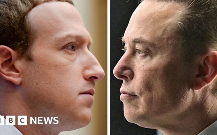  Zuckerberg says Musk 'not serious' about cage fight