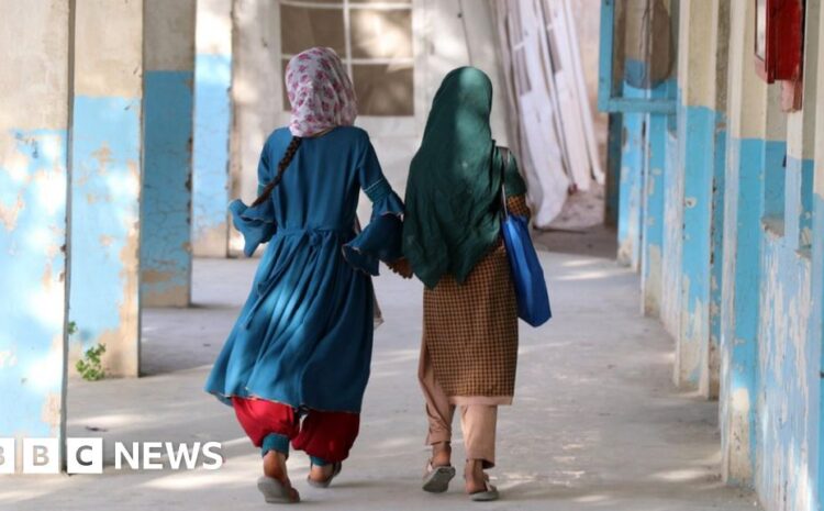  Taliban stops girls leaving Afghanistan to study abroad