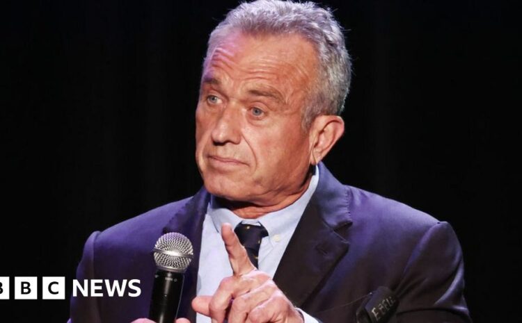  Robert F Kennedy Jr is running for president as an independent. Who will vote for him?