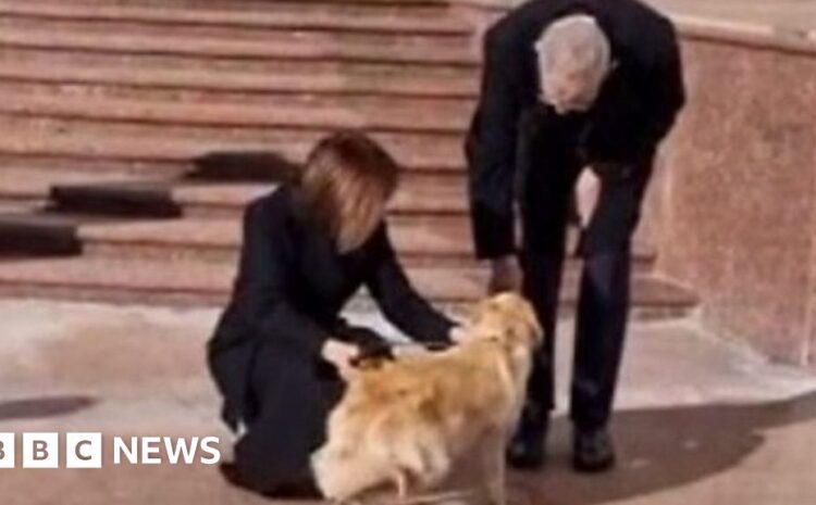  Moldovan president’s dog bites hand of visiting Austrian president