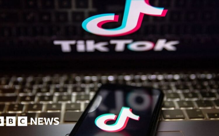  TikTok: US judge blocks Montana's ban citing free speech