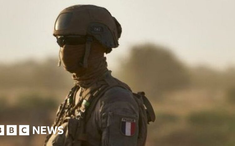  G5 Sahel: Niger and Burkina Faso leave anti-Islamist force