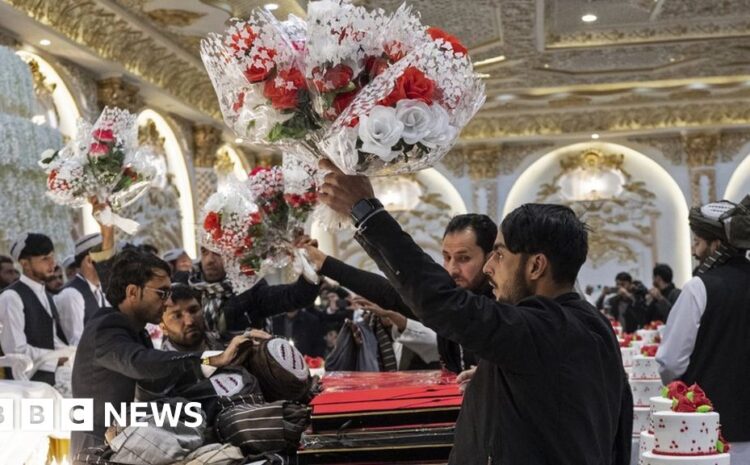  Afghan couples marry in mass ceremony in bid to cut costs