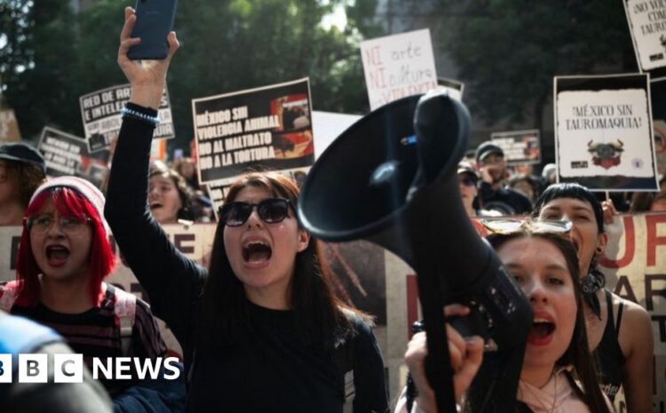  Protests as bullfighting returns to Mexico City