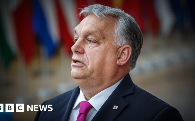  Hungary's Viktor Orban and EU leaders to face off over Ukraine aid at crucial summit