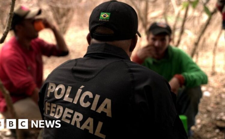  The Brazilian farm workers exploited to harvest an everyday ingredient