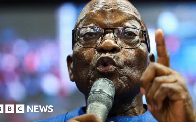  Jacob Zuma barred from South Africa election 