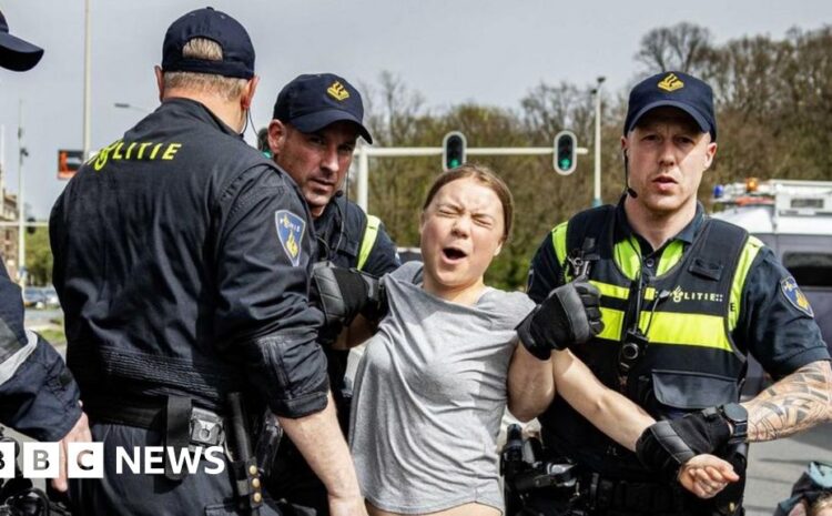  Greta Thunberg arrested at Dutch climate protest