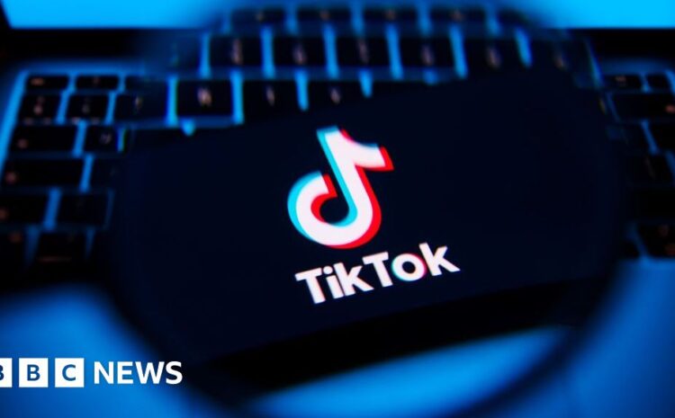  Government should counter misinformation on TikTok – MPs